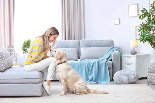 HVAC Maintenance Tips For Pet Owners